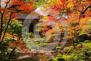 Autumn garden in Nanzen-ji Temple, Kyoto
