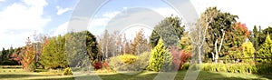 Autumn garden panorama