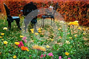 Autumn garden in rutherford house