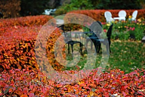 Autumn garden in rutherford house