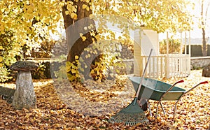 Autumn Garden Scene With Rake And Wheelbarrow