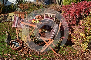 Autumn garden with sitting and autumn decorations