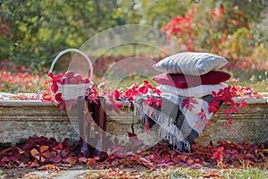 Autumn garden. On the stone bench there is a blanket, pillows, a basket of apples and a burgundy hat with rubber boots