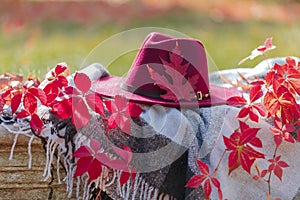 Autumn garden. On the stone bench there is a blanket, pillows, a basket of apples and a burgundy hat with rubber boots