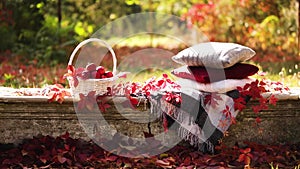 Autumn garden. On the stone bench there is a blanket, pillows, a basket of apples and a burgundy hat with rubber boots