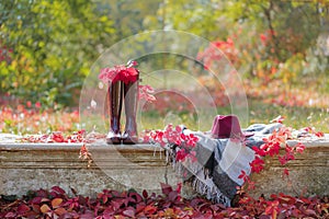 Autumn garden. On the stone bench there is a blanket, pillows, a basket of apples and a burgundy hat with rubber boots