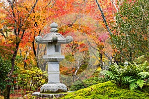 autumn garden at tenryu-ji temple, Arashiyama