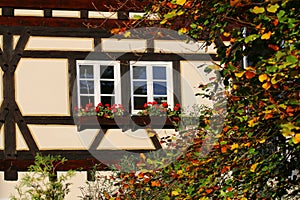 Autumn-Germany home style