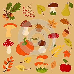 Autumn gifts such as mushroom, pumpkin, acorns, leaves, fruit and berry.