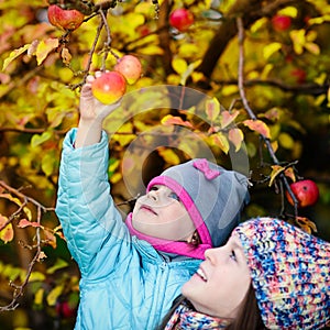 Autumn girl picking apple from tree