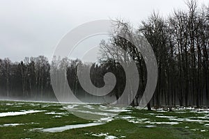 Autumn gloomy landscape