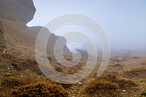 Autumn gloomy landscape on a foggy day