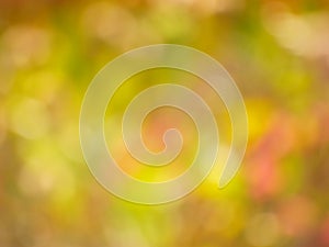 Autumn Gold Background - Blur Stock Photo