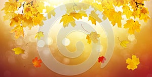 Autumn golden abstract background with bokeh light and colorful fall leaves