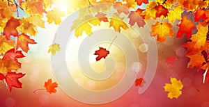 Autumn golden abstract background with bokeh light and colorful fall leaves