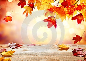 Autumn golden abstract background with bokeh light and colorful leaves