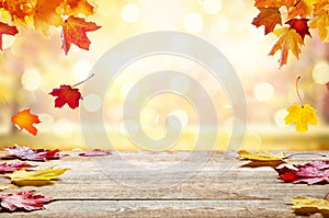 Autumn golden abstract background with bokeh light and colorful leaves