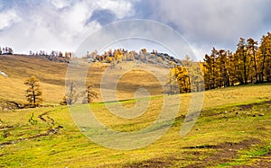 Autumn golden grassland in Xinjiang