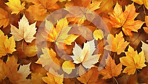 Autumn golden leafs background