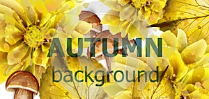 Autumn golden leaves banner watercolor Vector. Vintage Fall season floral decoration bouquets