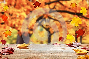 Autumn golden park background with bokeh light and colorful leaves