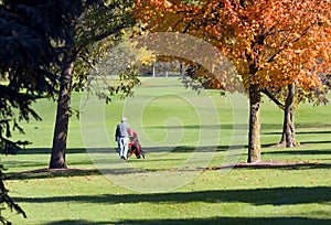 Autumn Golfer Walking