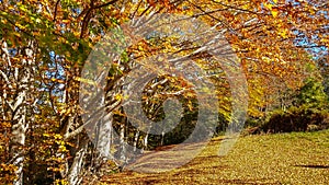 Autumn in Gran Sasso e Monti della Laga National Park, Abruzzo, Italy