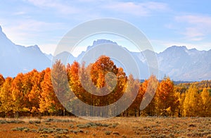 Autumn in Grand Tetons