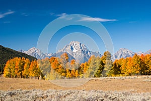 Autumn in Grand Tetons