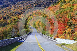 Autumn at Grandfather Mountain, North Carolina photo