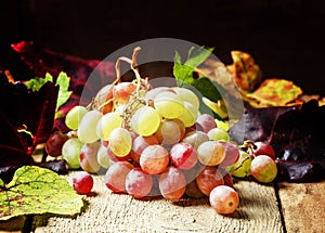 Autumn grape, still life, vintage wooden background, selective f