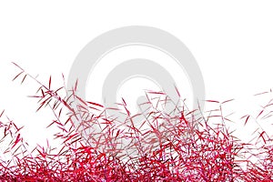 Autumn grass in wind with copy space