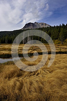 Autumn Grasses below Lassen Peak