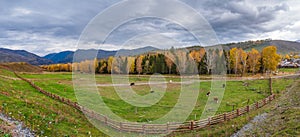 Autumn grassland in Xinjiang