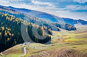 Autumn grassland in Xinjiang