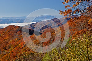 Autumn Great Smoky Mountains National Park
