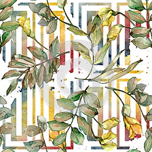 Autumn green acacia leaves. Leaf plant botanical garden floral foliage. Seamless background pattern.