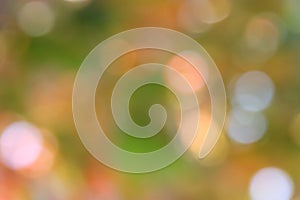 Autumn Green Background - Blur Stock Photos