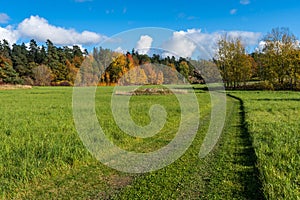 Autumn green fields and wide walking paths. Beautiful fall season colorful landscape with colorful trees. Yellow green gold