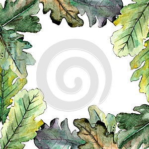 Autumn green oak leaf. Leaf plant botanical garden floral foliage. Frame border ornament square.