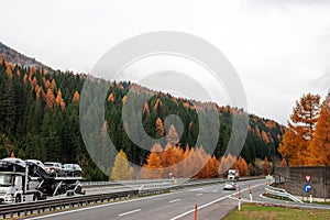 Autumn green and yellow forest  over highway