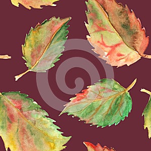 Autumn green yellow red leaves seamless pattern texture background