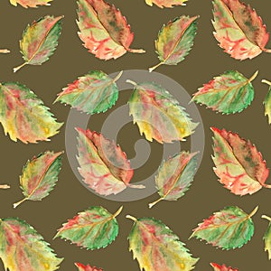 Autumn green yellow red leaves seamless pattern texture background