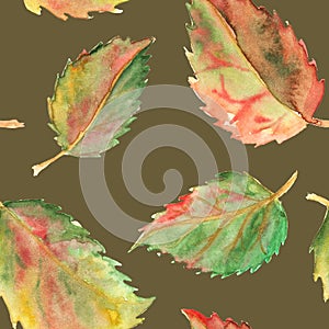 Autumn green yellow red leaves seamless pattern texture background