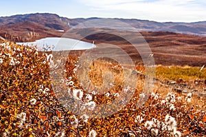 Autumn greenlandic orange tundra landscape with lakes and mountains in the background, Kangerlussuaq, Greenland