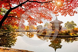 Autumn in Gyeongbokgung Palace, Seoul in South Korea photo