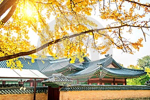 Autumn in Gyeongbukgung Palace,Korea.