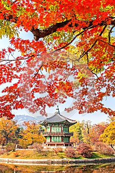 Autumn in Gyeongbukgung Palace,Korea