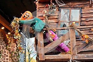 Autumn or Halloween scene with Jack o Lantern head scarecrow