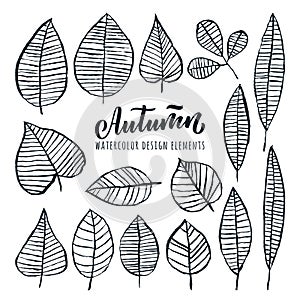 Autumn hand drawn calligraphy lettering and watercolor leaves set, isolated on white background. Vector illustration